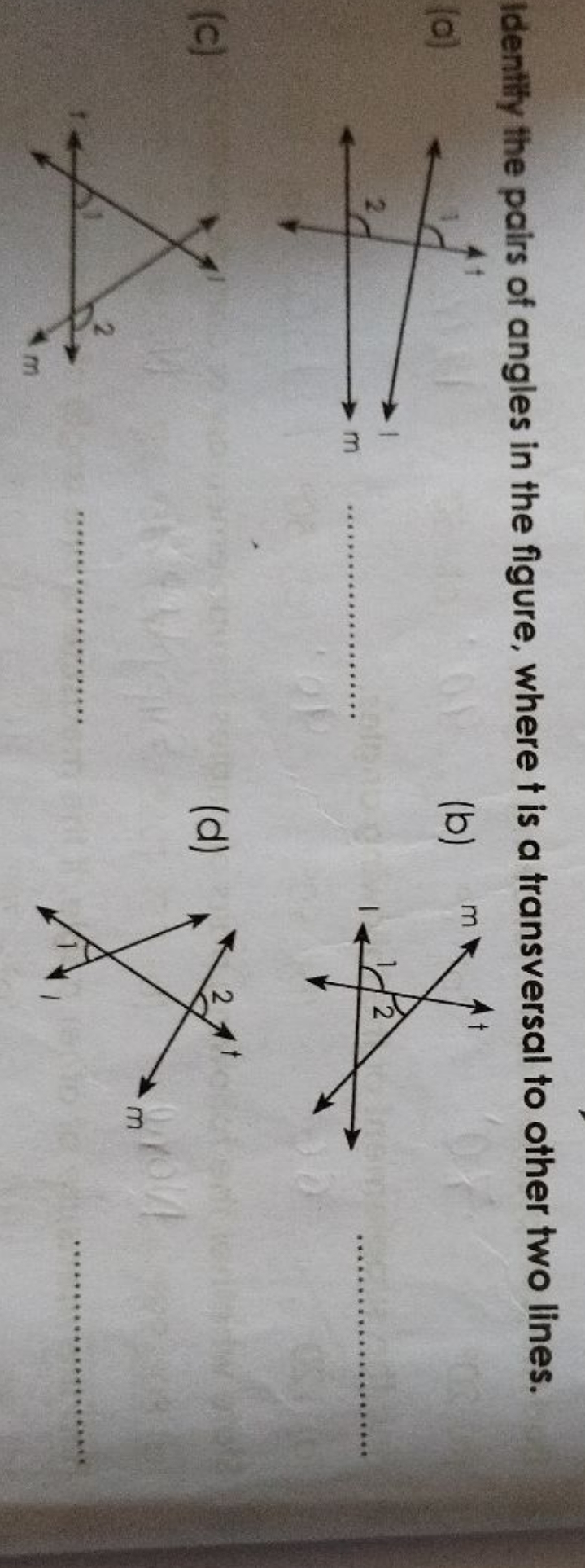 Identily the pairs of angles in the figure, where t is a transversal t