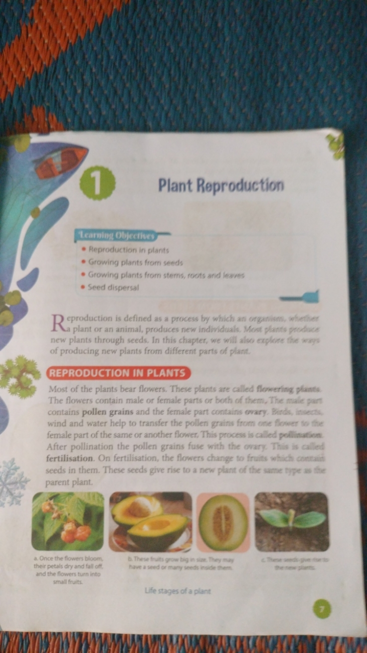 Plant Reproduction

Tearming Objecitwe
- Reproduction in plants
- Grow