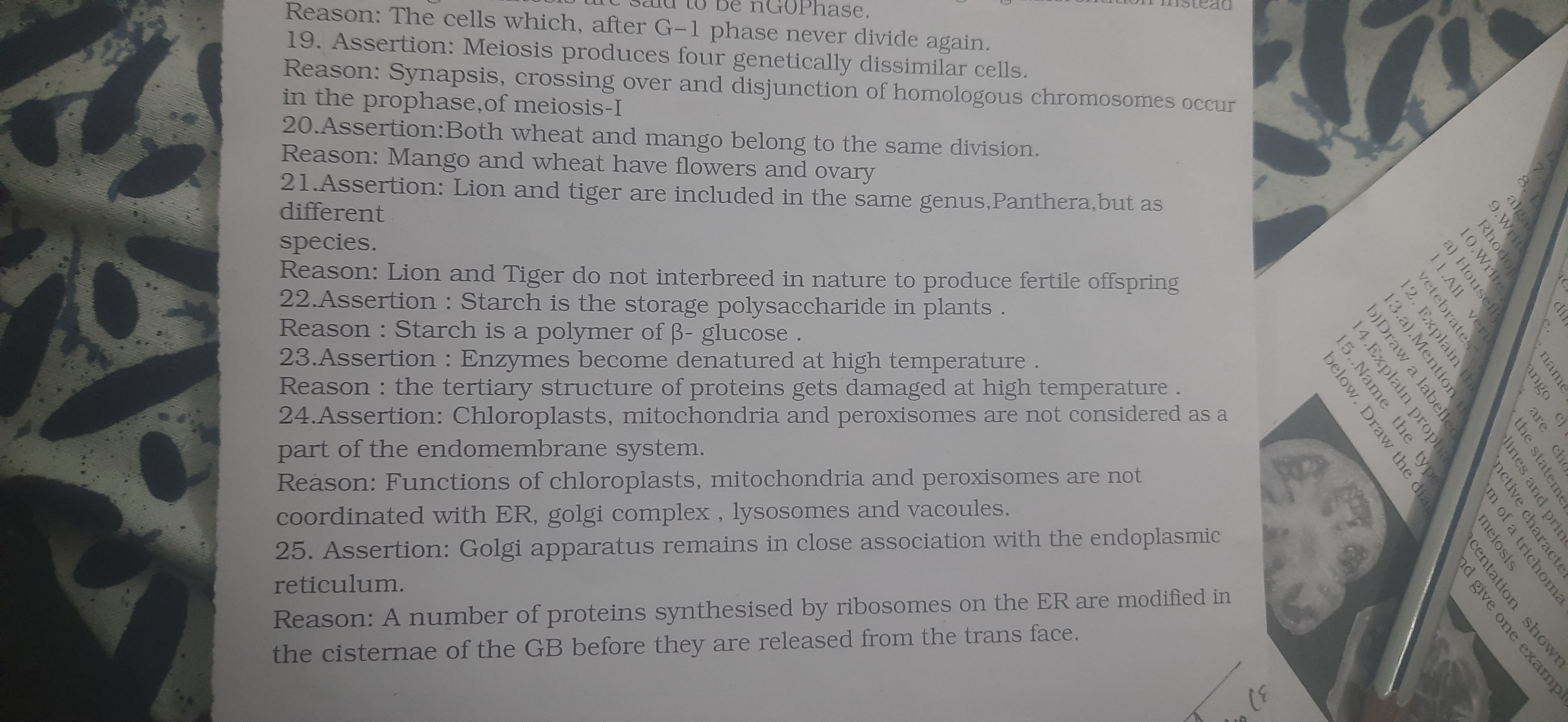 Reason: The cells which, after G−1 phase never divide again.
19. Asser