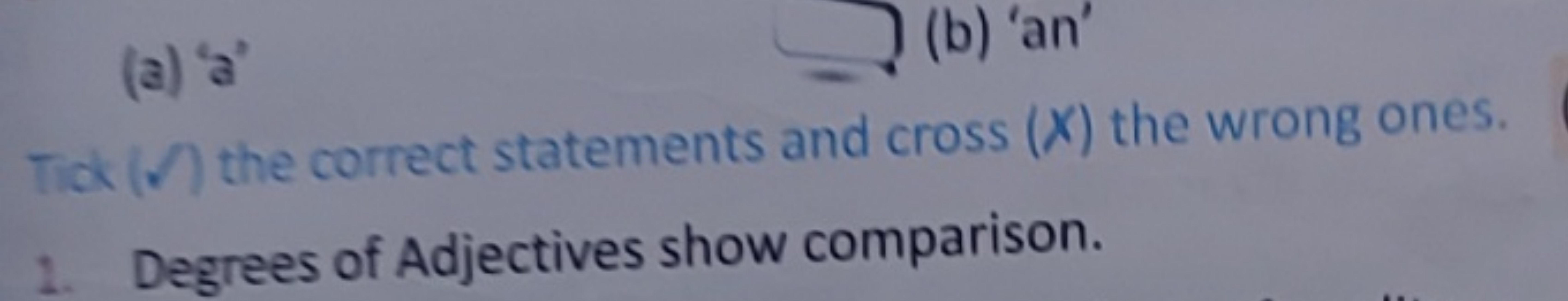 (a) 'a' □ (b) 'an'

Tid (✓) the correct statements and cross (X) the w