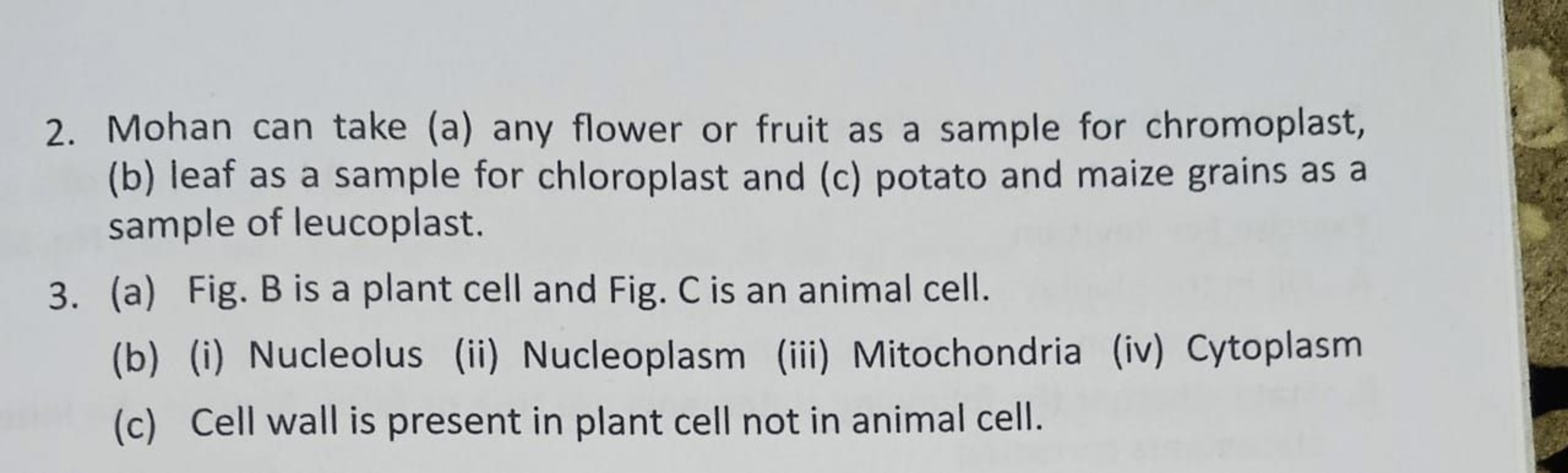 2. Mohan can take (a) any flower or fruit as a sample for chromoplast,