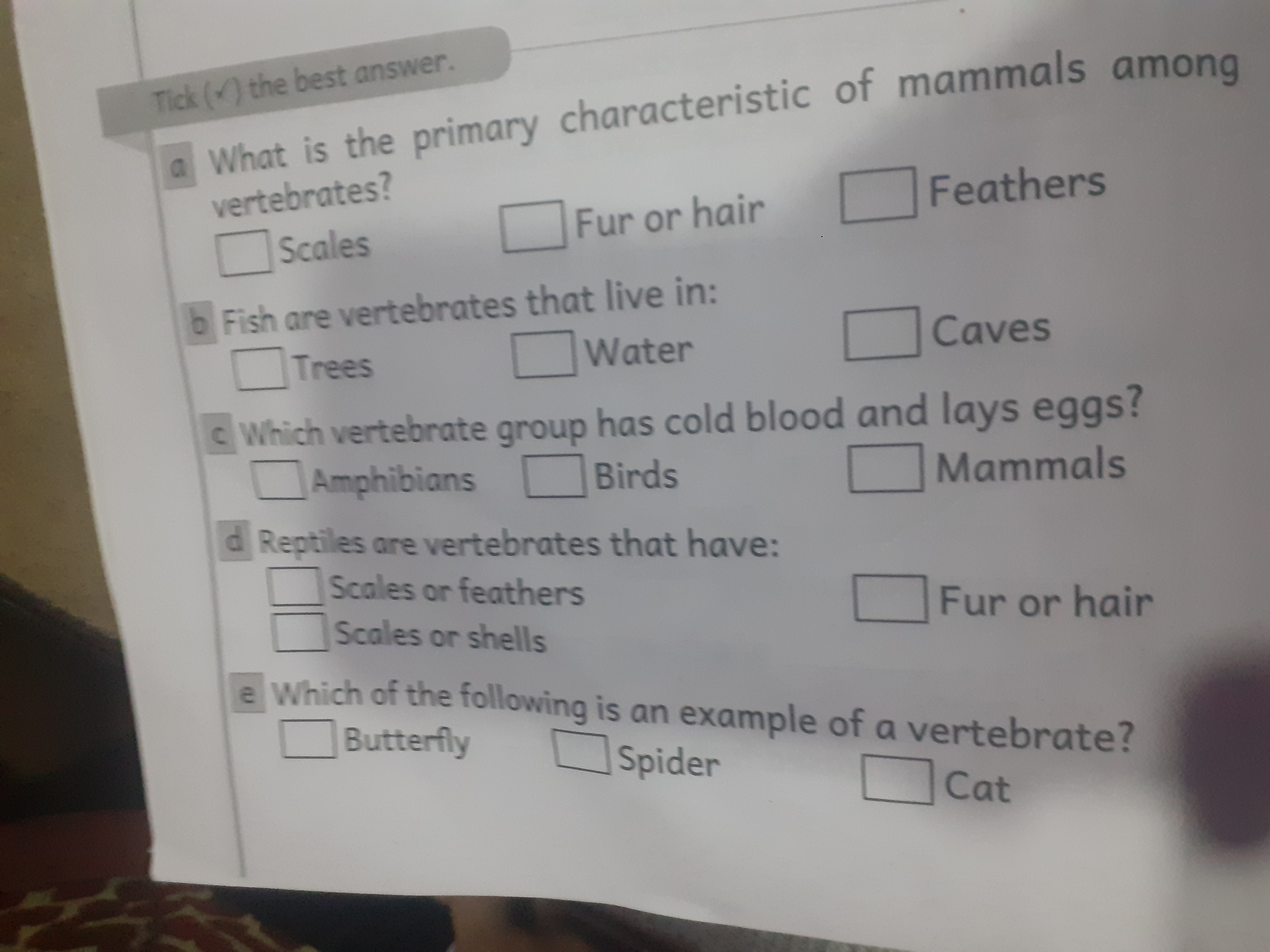 rick (x) the best answer.
- What is the primary characteristic of mamm