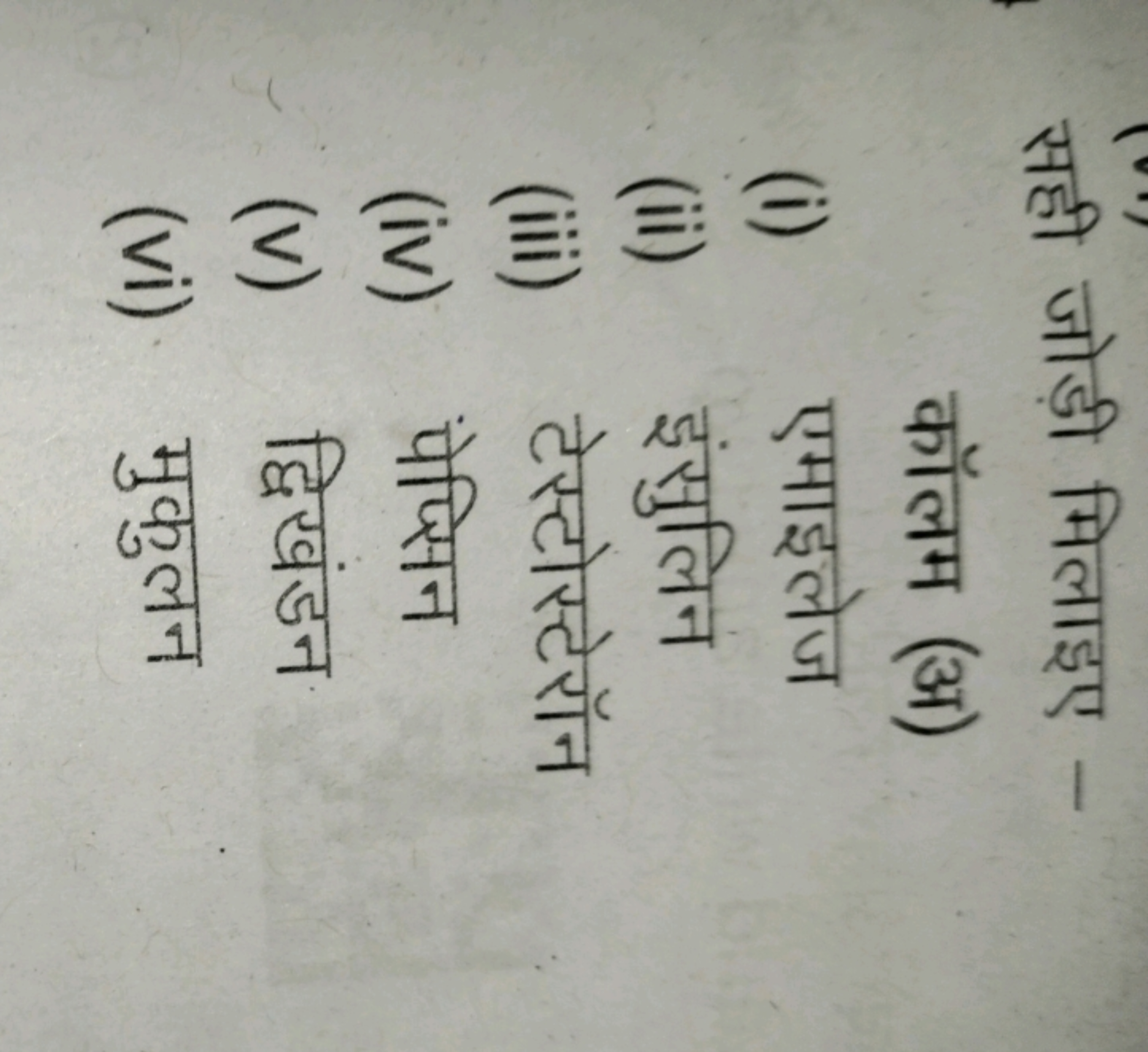 सही जोड़ी मिलाइए कॉलम (अ)
(i) एमाइलेज
(ii) इंसुलिन
(iii) टेस्टोस्टेरॉन