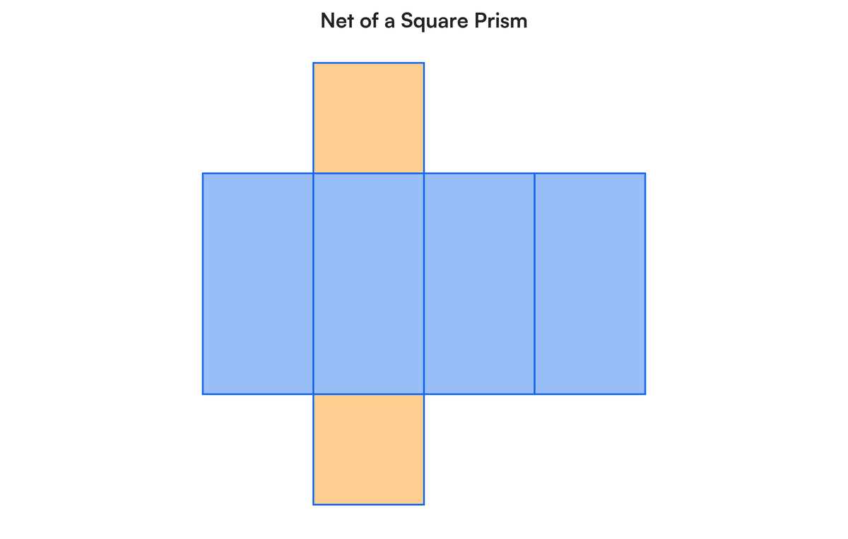 Draw the net of : cuboid,all prism,all pyramid | Filo