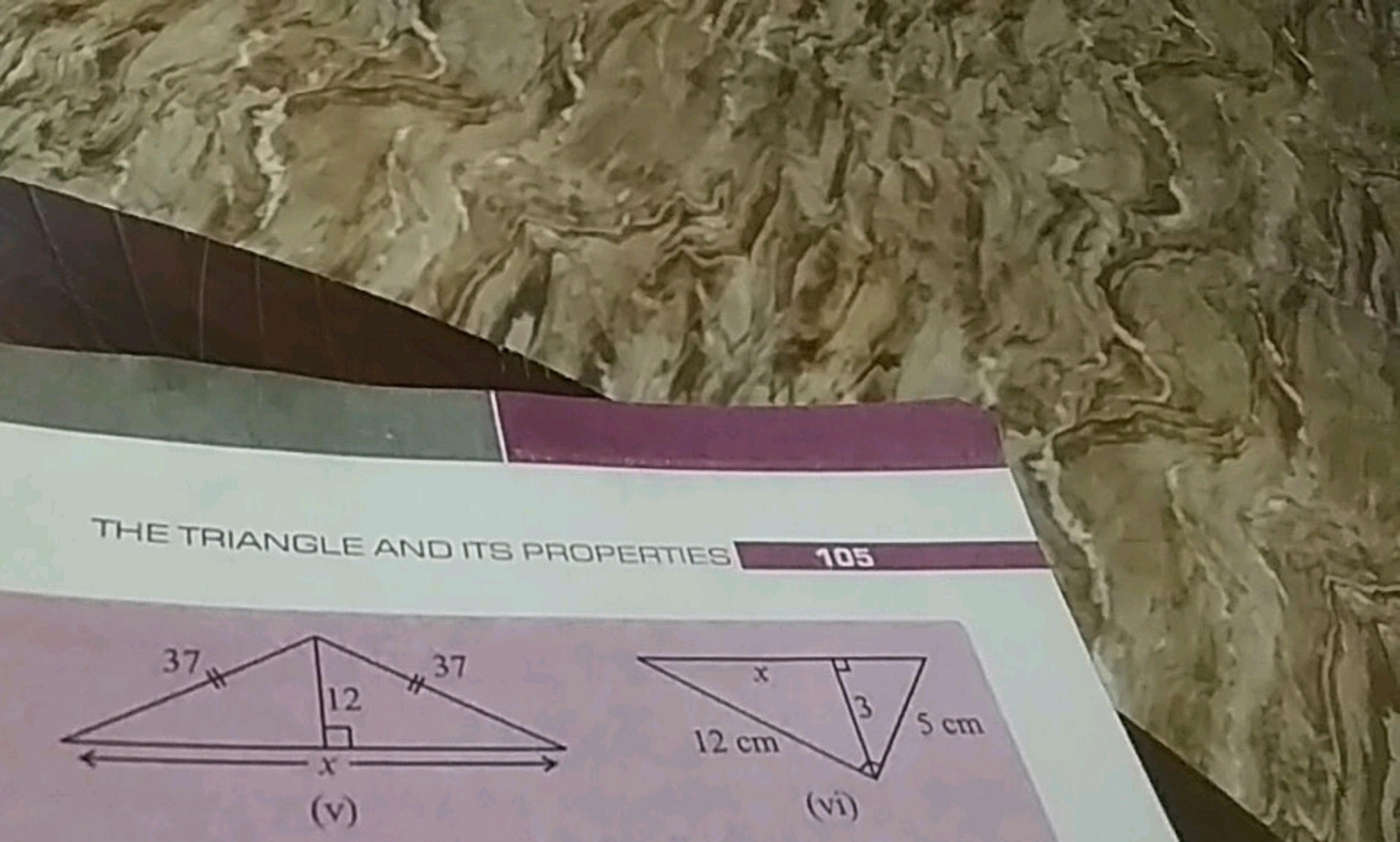 THE TRIANGLE AND ITS PROPERTIES 105
(v)
(vi)