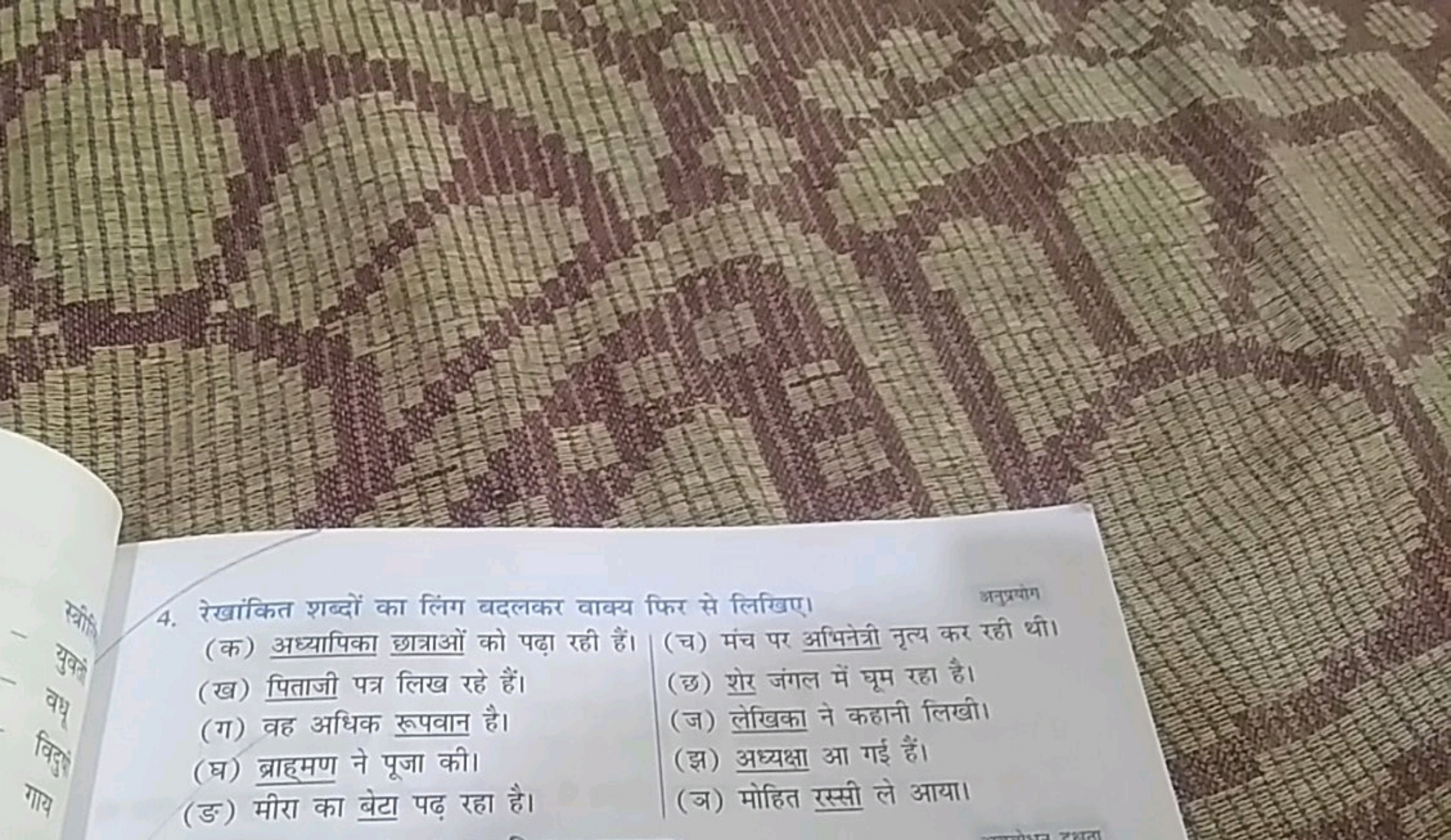 4. रेखांकित शब्दों का लिंग बदलकर वाक्य फिर से लिखिए।
(क) अध्यापिका छात