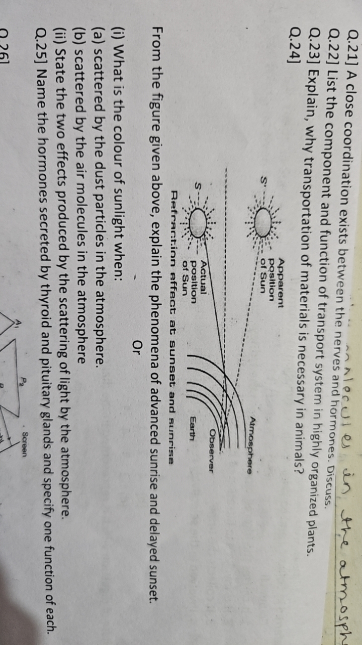 Q.21] A close coordination exists between the nerves and ecult es in t