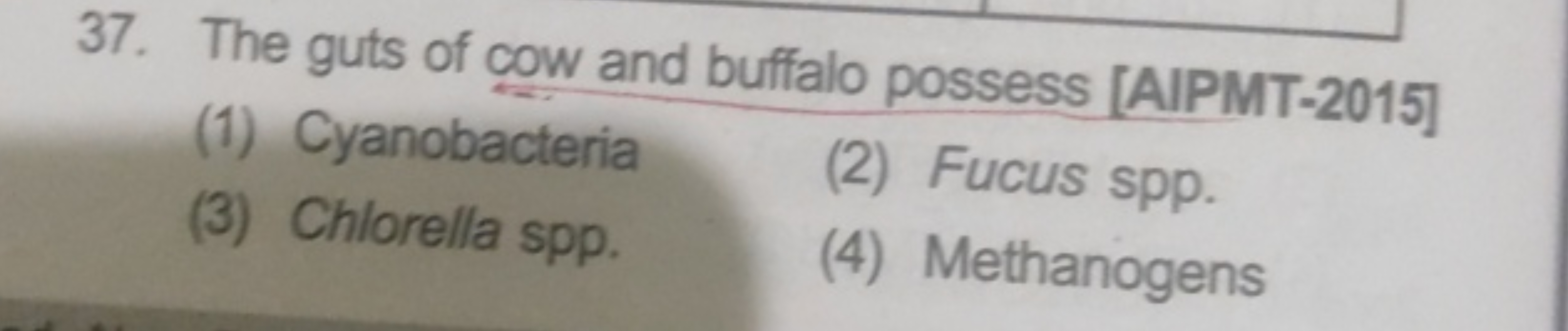 37. The guts of cow and buffalo possess [AIPMT-2015]
(1) Cyanobacteria