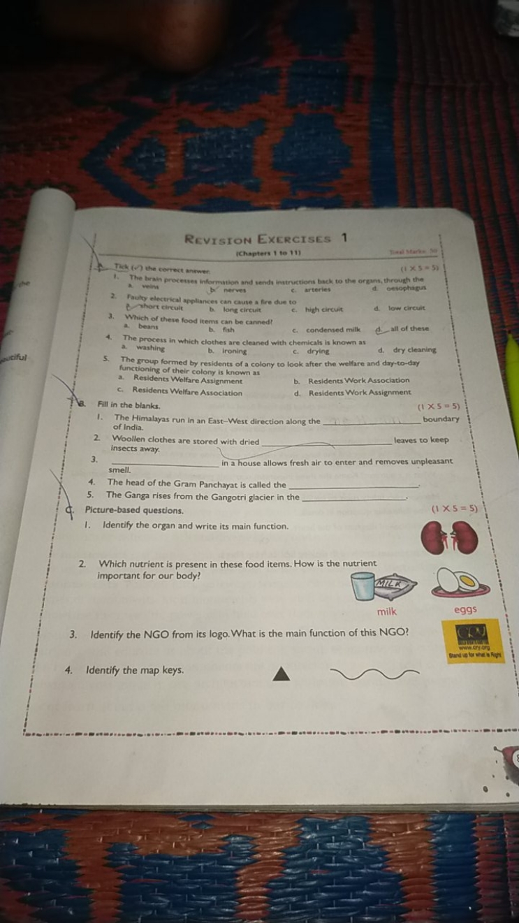 REVISION EXERCISES 1
(Chapters I te 11)
1
Nasal Mark is
(1×5=5
Tits (n