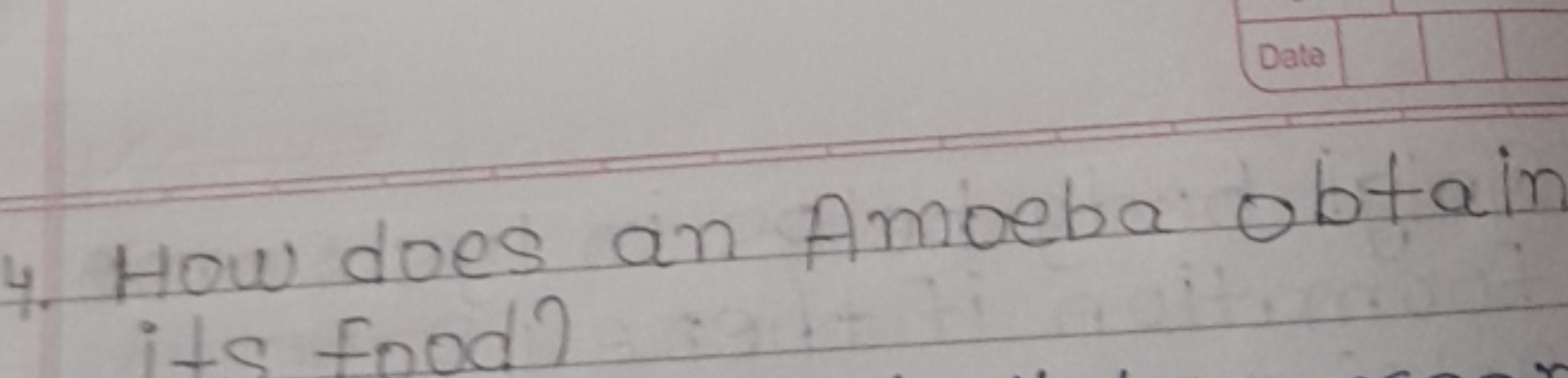 4. How does an Amoeba obtain its food?