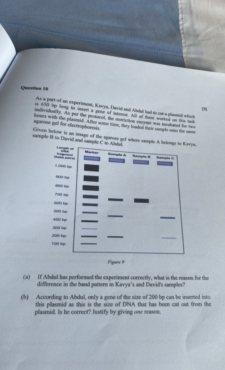 Question 10
As a part of an experiment, Kavya, David and Abdul had to 