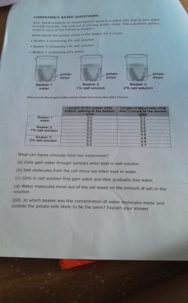 Q19. Sania conducts an experiment to know how plant cells lose or gain