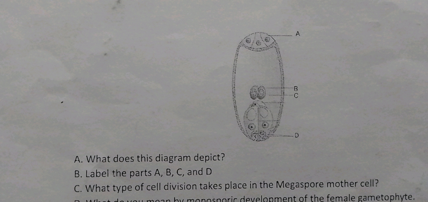 A. What does this diagram depict?
B. Label the parts A, B, C, and D
C.