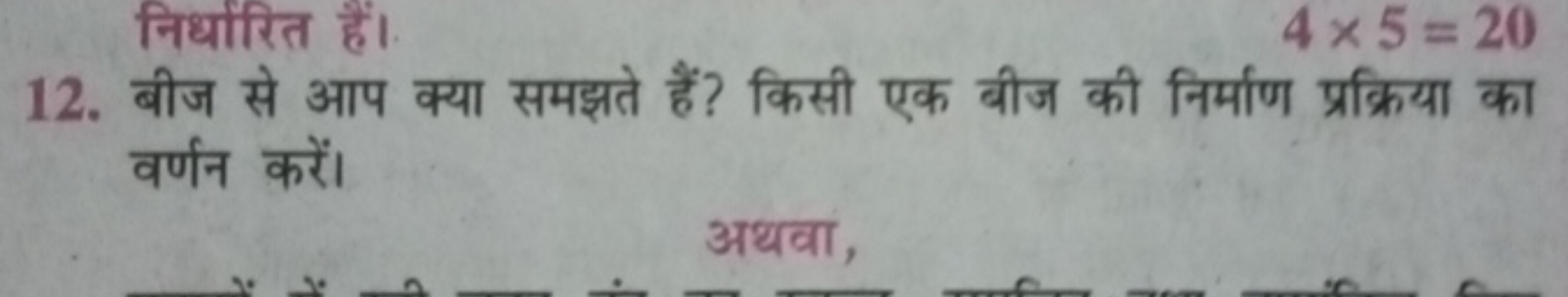 12. बीज से आप क्या समझते हैं? किसी एक बीज की निर्माण प्रक्रिया का वर्ण