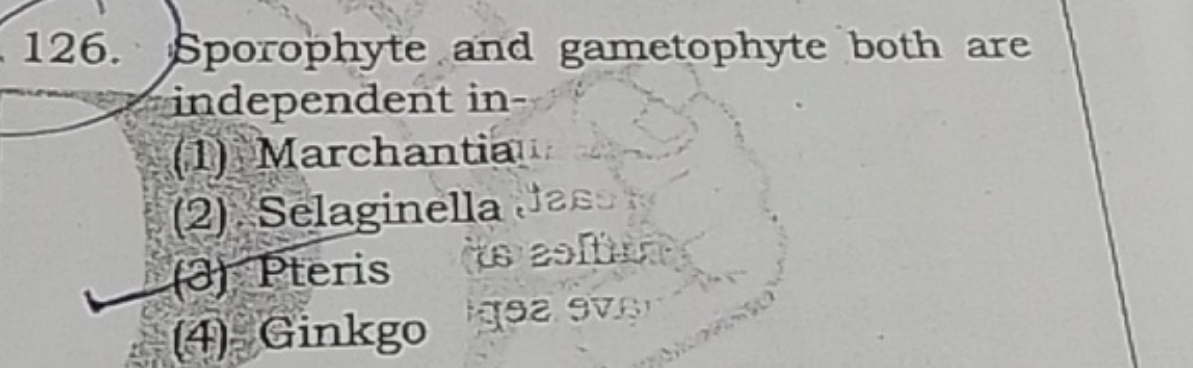 126. Sporophyte and gametophyte both are independent in-
(1) Marchanti