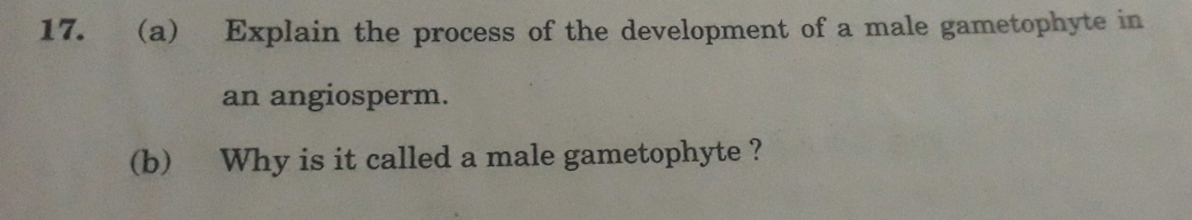 17. (a) Explain the process of the development of a male gametophyte i