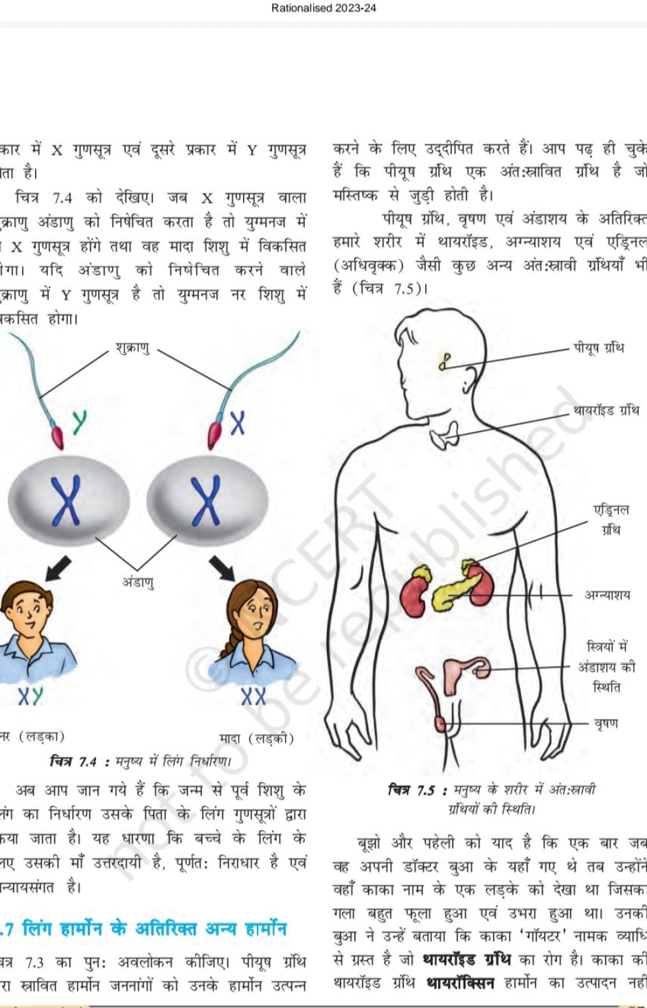 Rationalised 2023-24
कार में X गुणसूत्र एवं दूसरे प्रकार में Y गुणसूत्