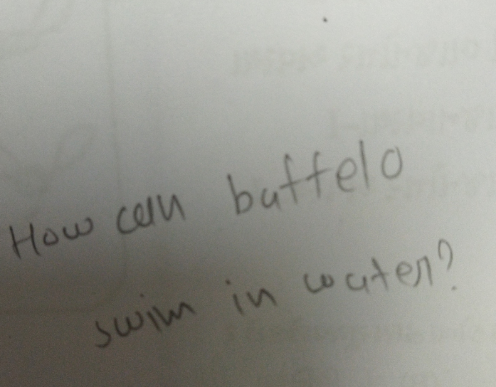 How an buttelo swiw in water?
