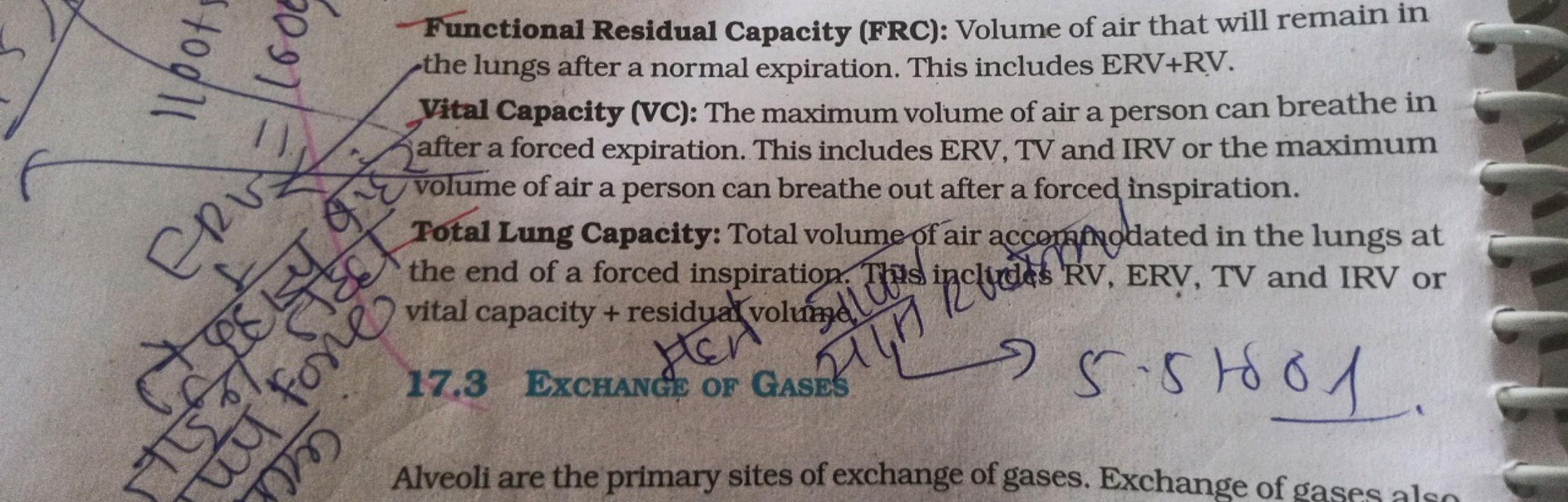 Functional Residual Capacity (FRC): Volume of air that will remain in 