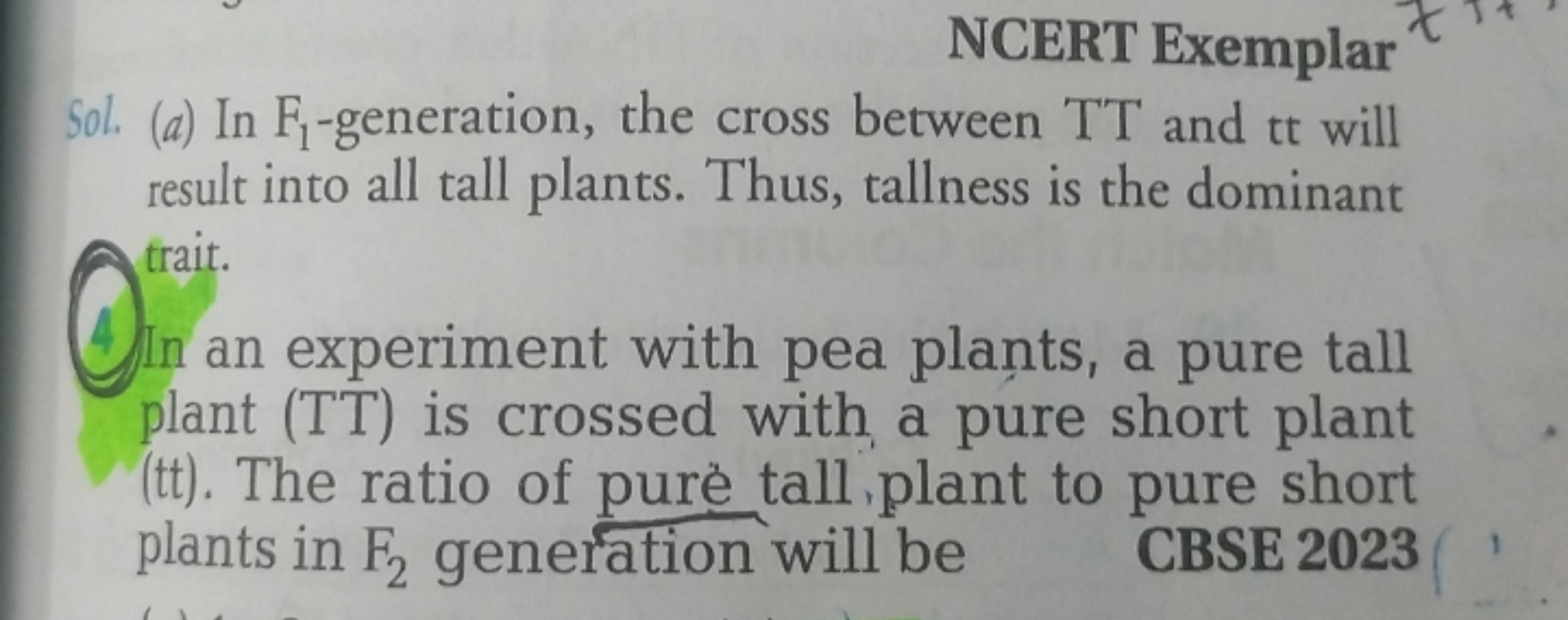 NCERT Exemplar
Sol. (a) In F1​-generation, the cross between TT and tt