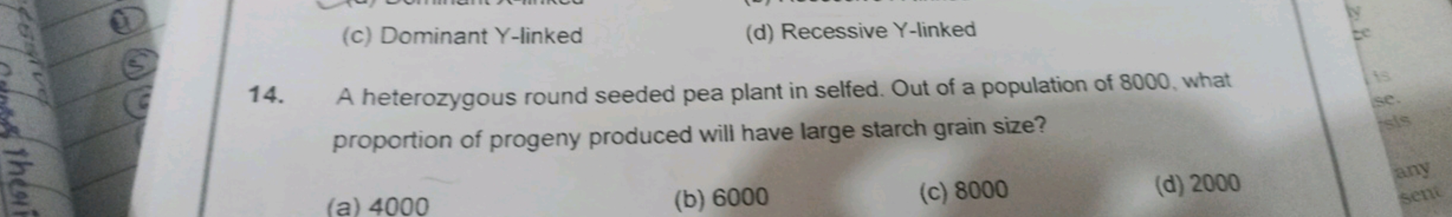 A heterozygous round seeded pea plant in selfed. Out of a population o