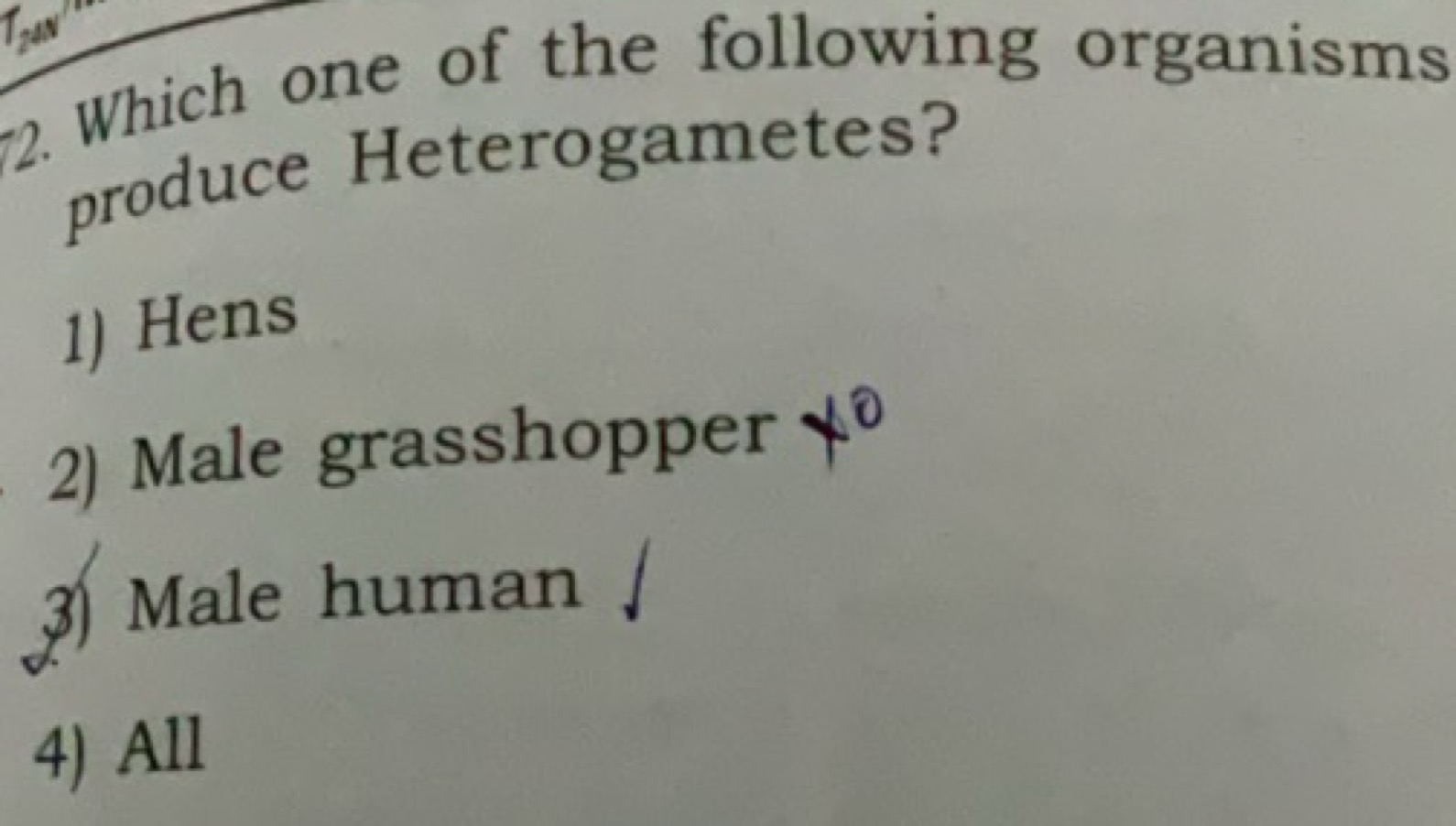 Which one of the following organisms produce Heterogametes?