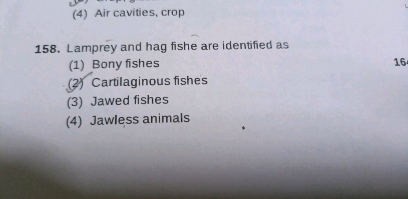 Lamprey and hag fishe are identified as