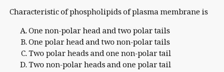 Characteristic of phospholipids of plasma membrane is