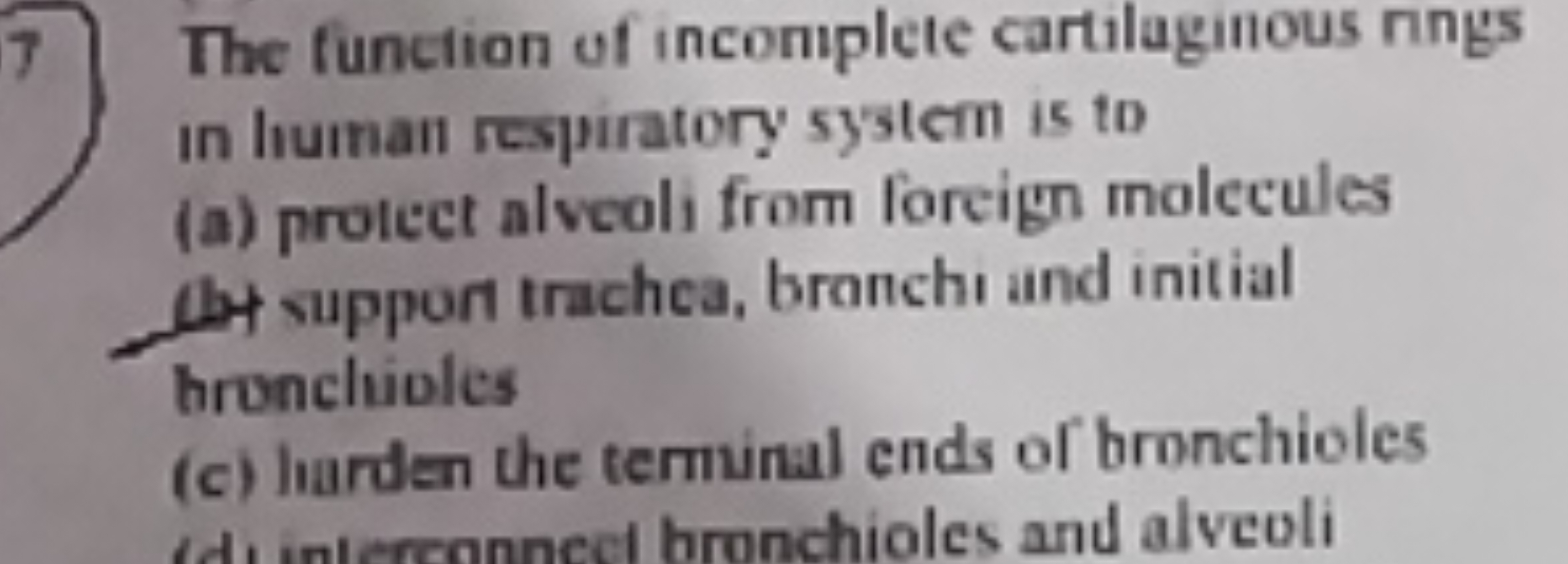 The function of incomplete cartilaginous nngs in human respiratory sys