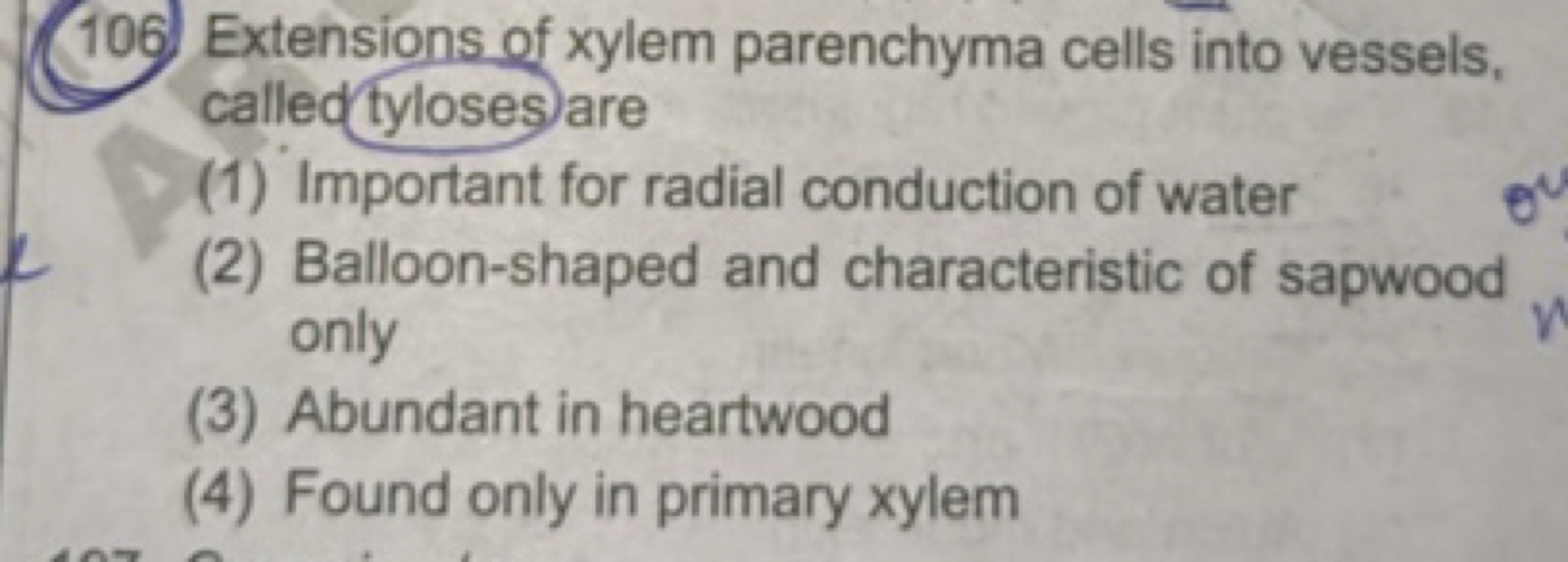  Extensions of xylem parenchyma cells into vessels, called tyloses are