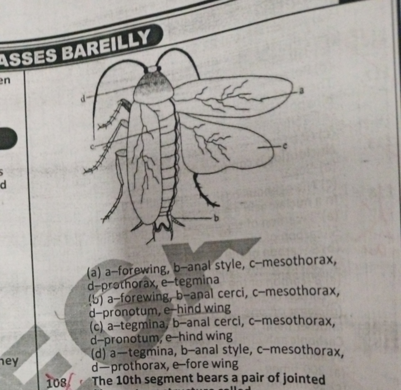 (a) a-forewing, b-anal style, c-mesothorax, d-prothorax, e-tegmina