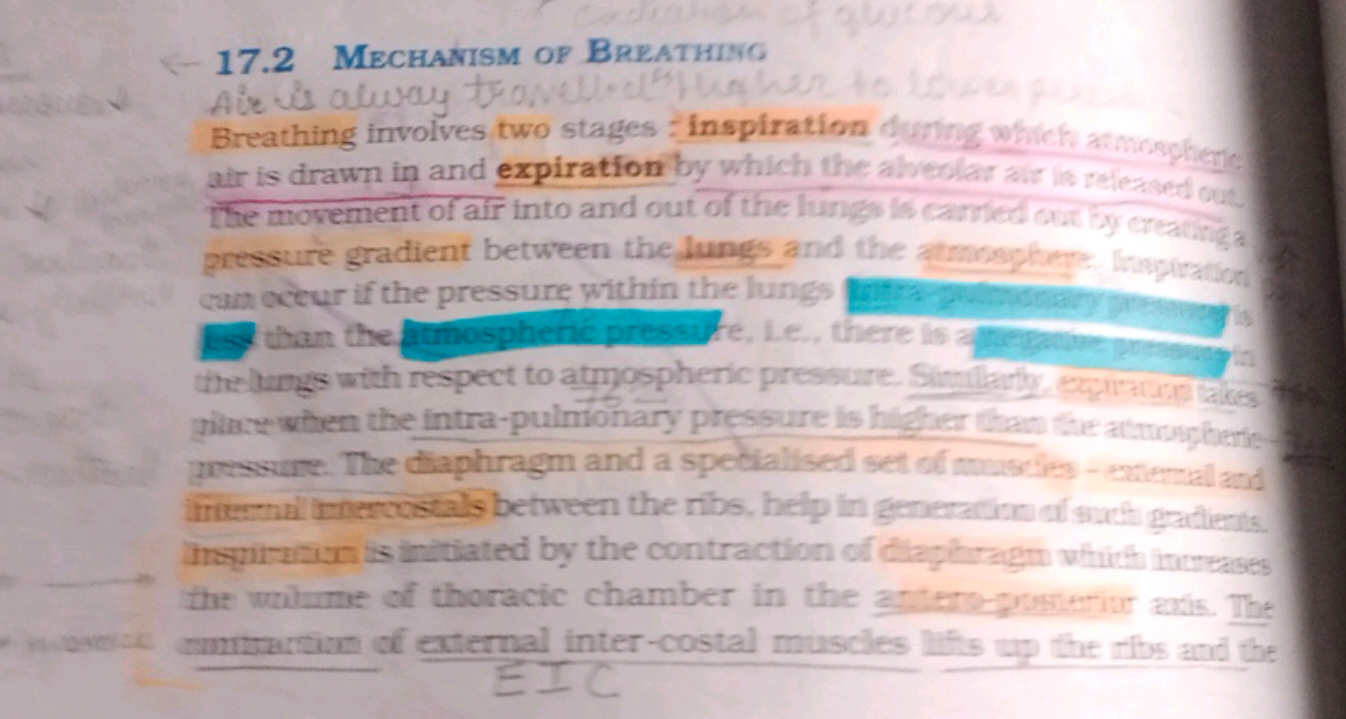 17.2 Mechanism of Breathiso
Aire is alwey traw
Breathing involves two 