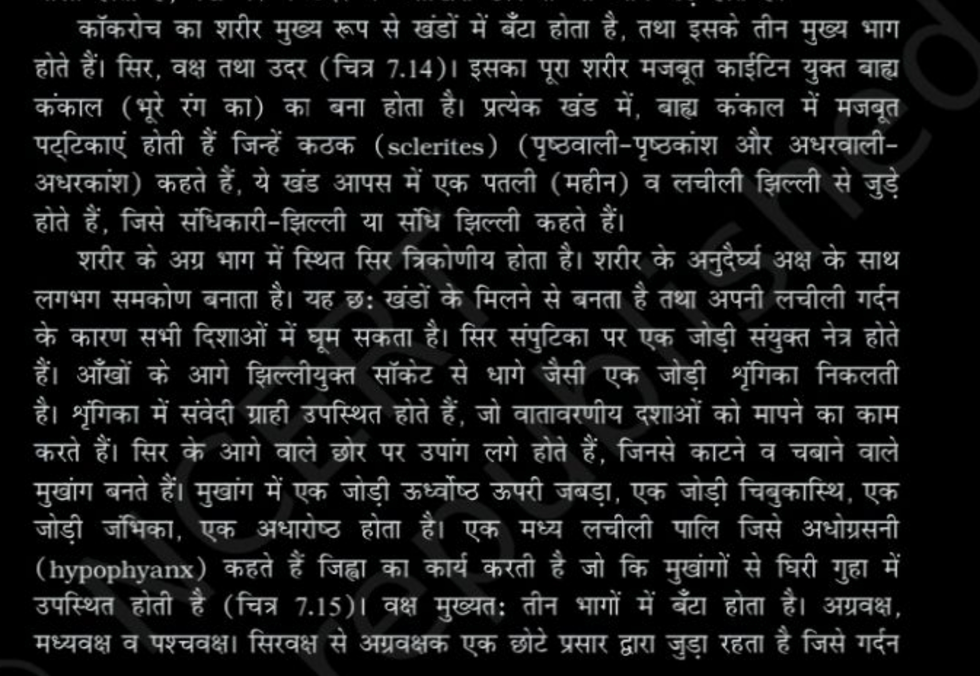 कॉकरोच का शरीर मुख्य रूप से खंडों में बँँटा होता है, तथा इसके तीन मुख्