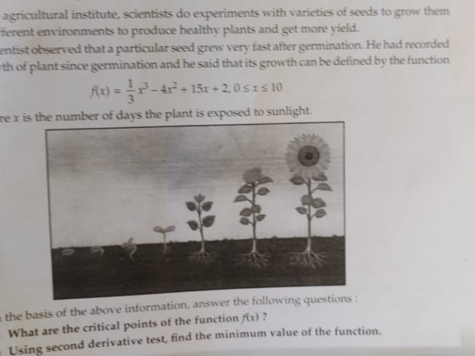 agricultural institute, scientists do experiments with varieties of se