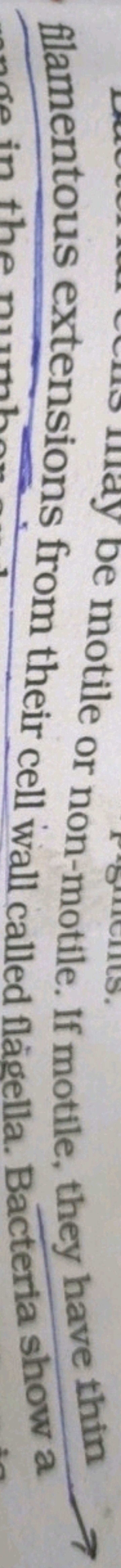 flamentous extemsin motile or non-motile. If motile, they have thin fi