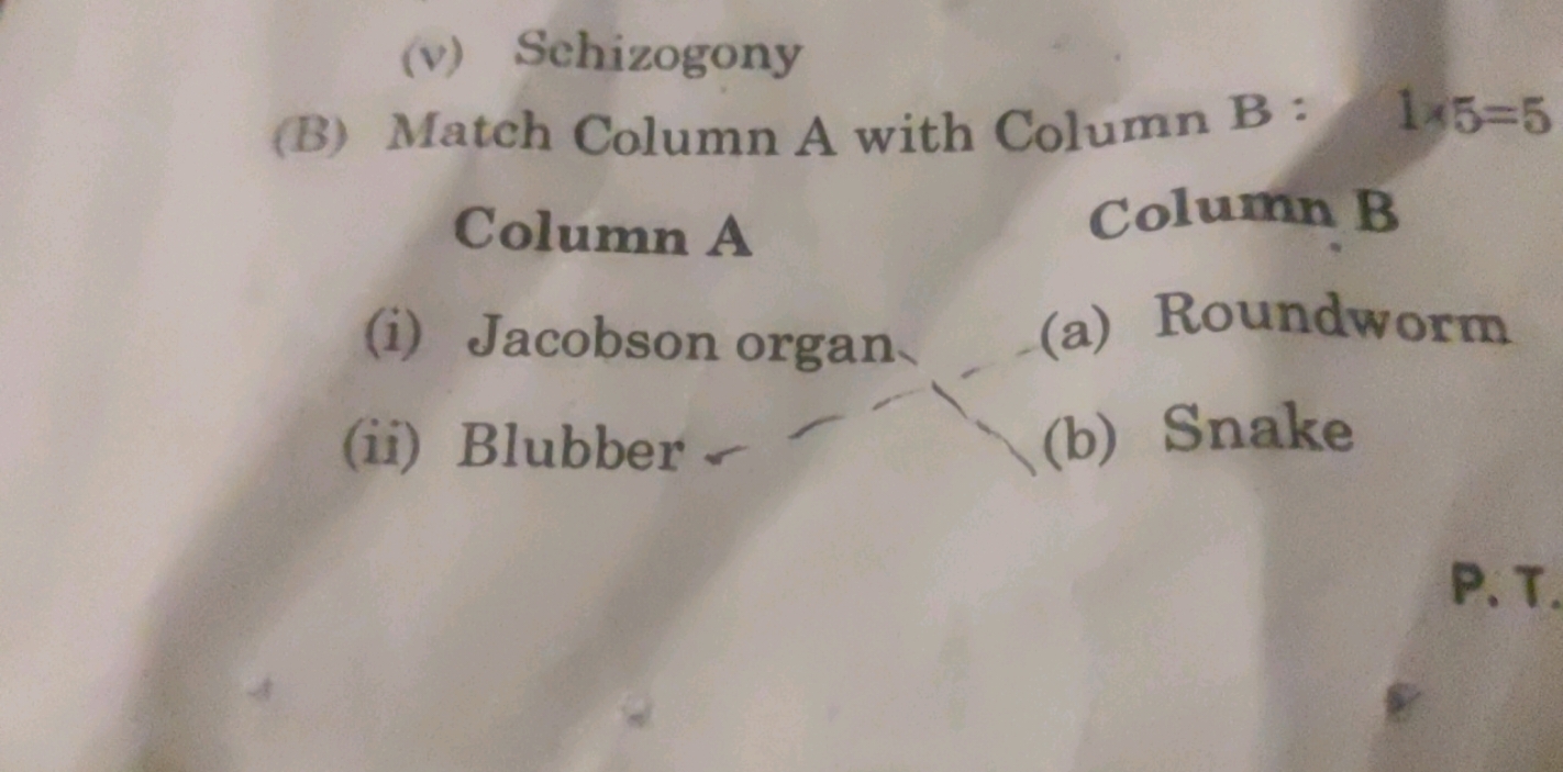 (v) Schizogony
(B) Match Column A with Column B : 1×5=5
Column A
Colum