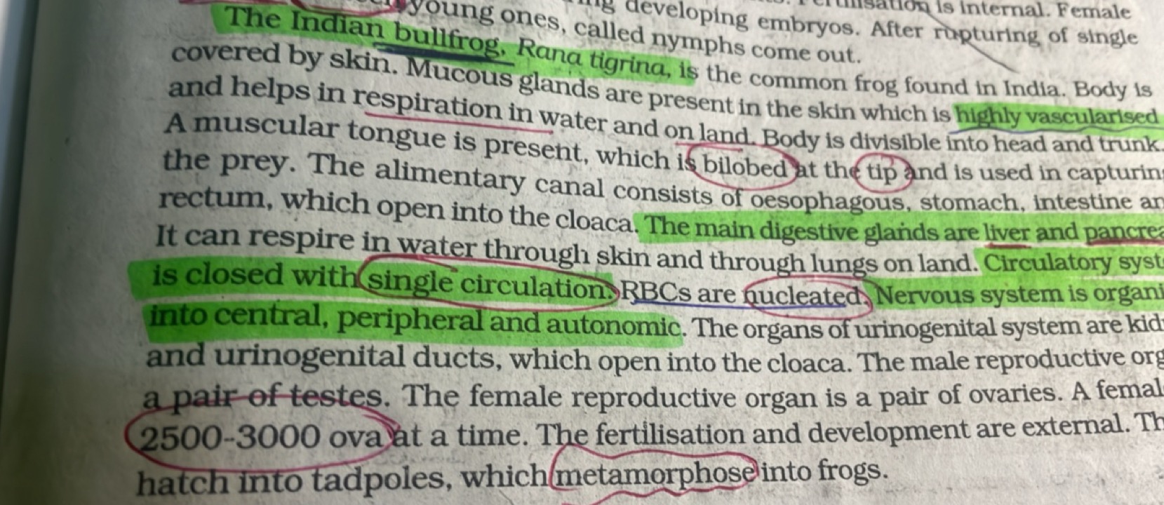 The Indian boung ones, calledeveloping embryos. After rrapturing of si