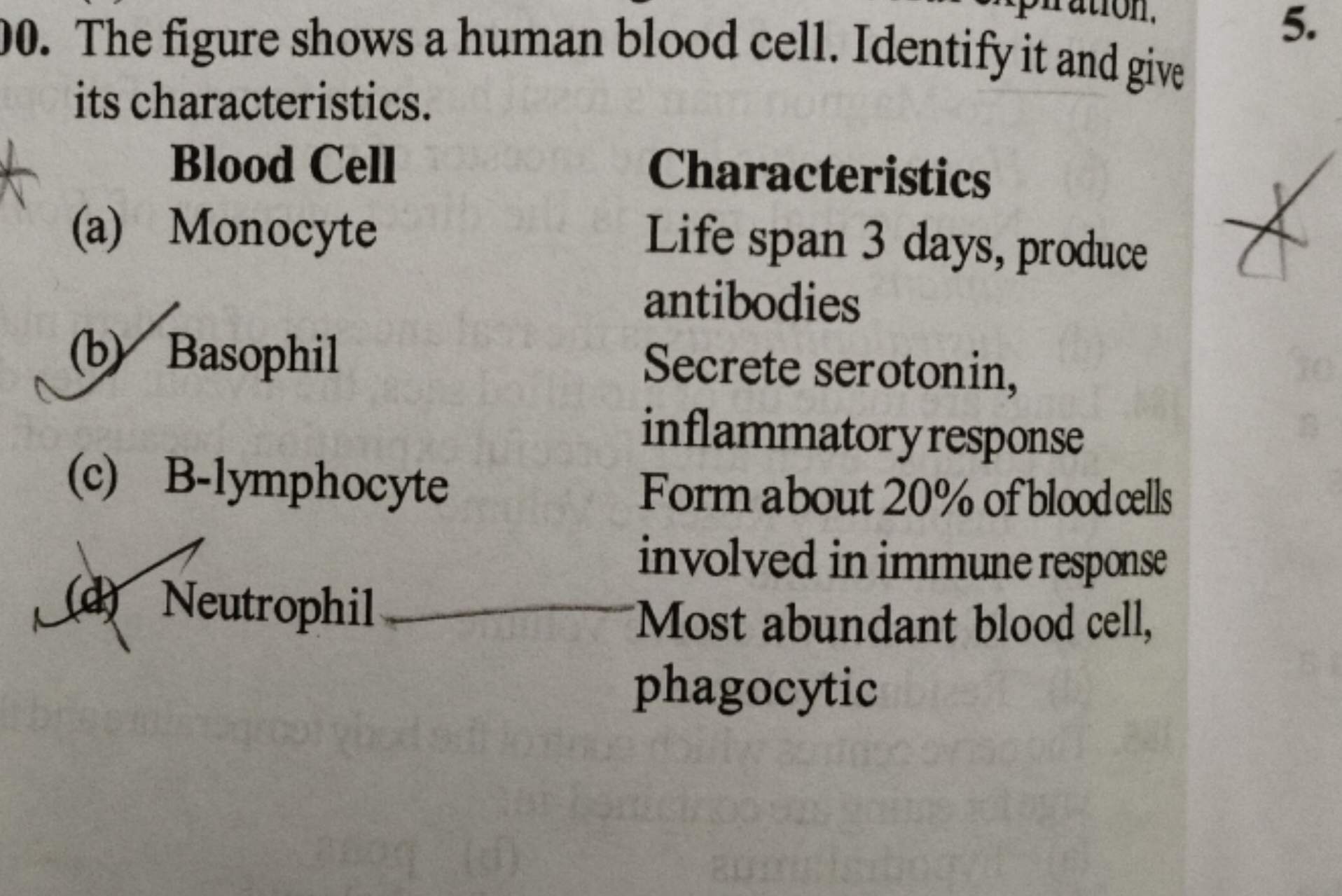 0. The figure shows a human blood cell. Identify it and give its chara