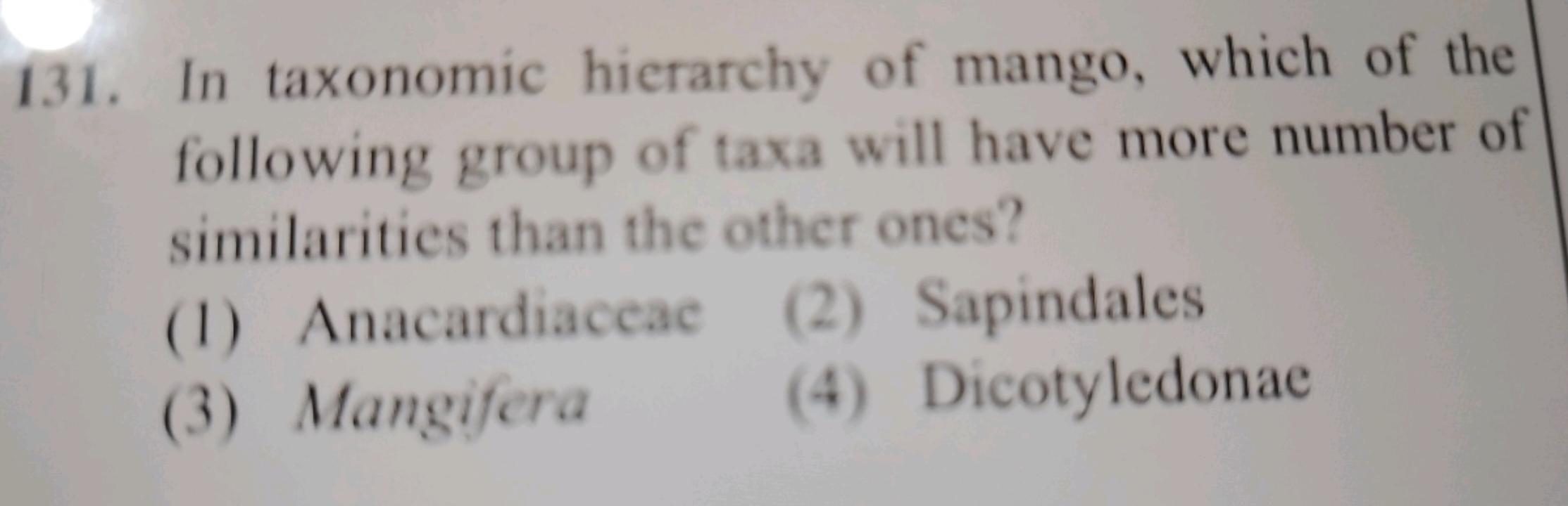 In taxonomic hierarchy of mango, which of the following group of taxa 