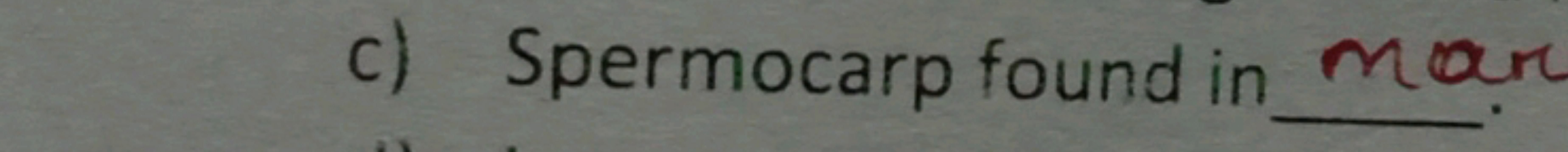 c) Spermocarp found in mor
