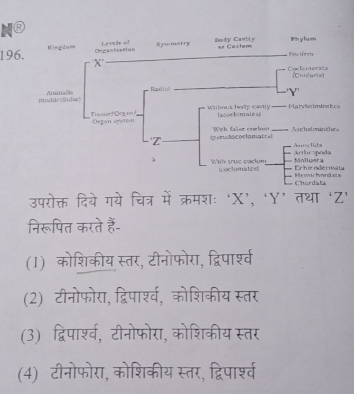 196.
उपरोक्त दिये गये चित्र में क्रमशः ' X ', ' Y ' तथा ' Z ' निरूपित 