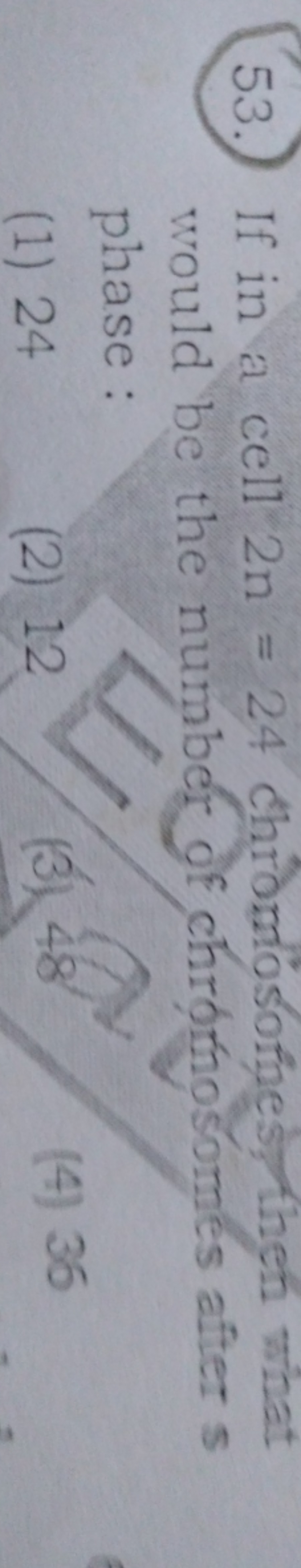  If in a cell 2n=24 chromosofnes, theh what would be the number of chr