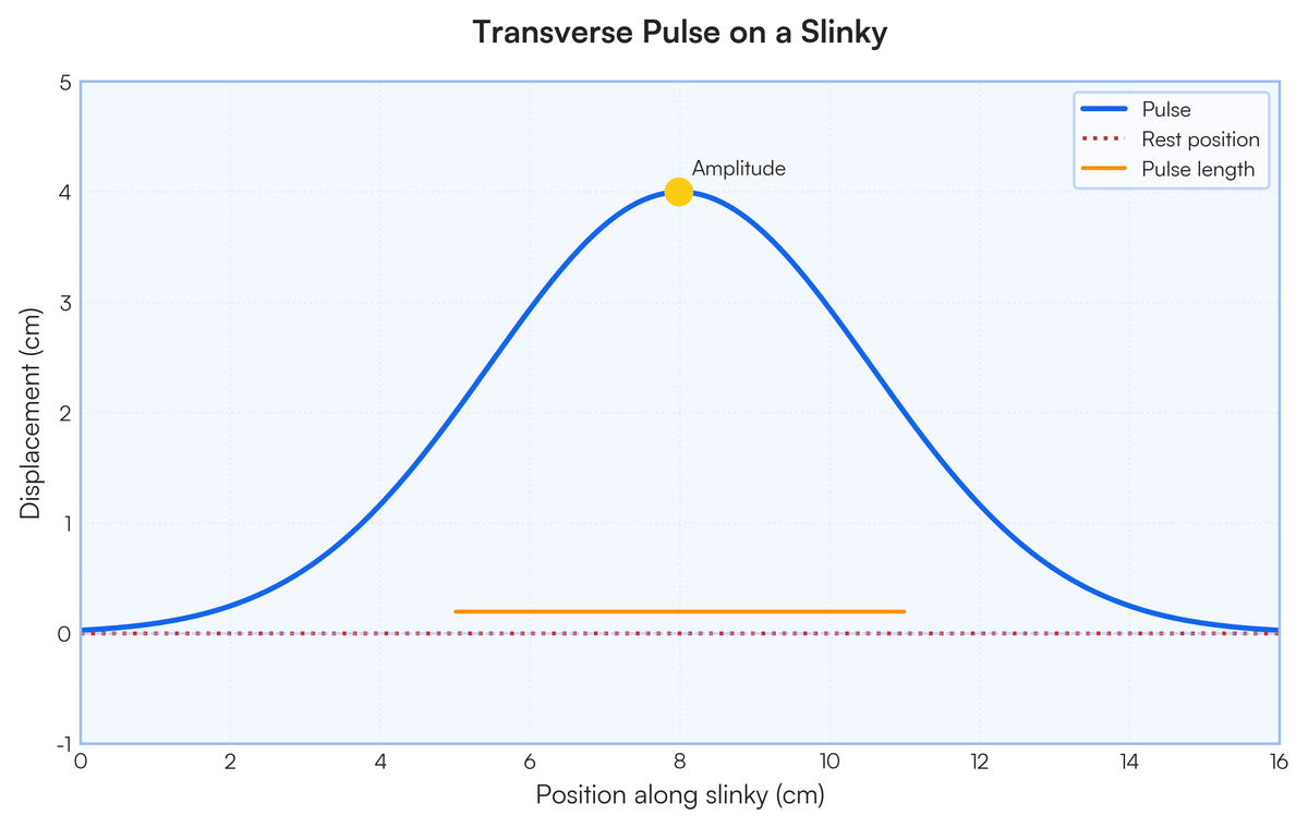 Transverse Pulse Example Activity 2 Answer questions on transverse pulses Write definitions for: