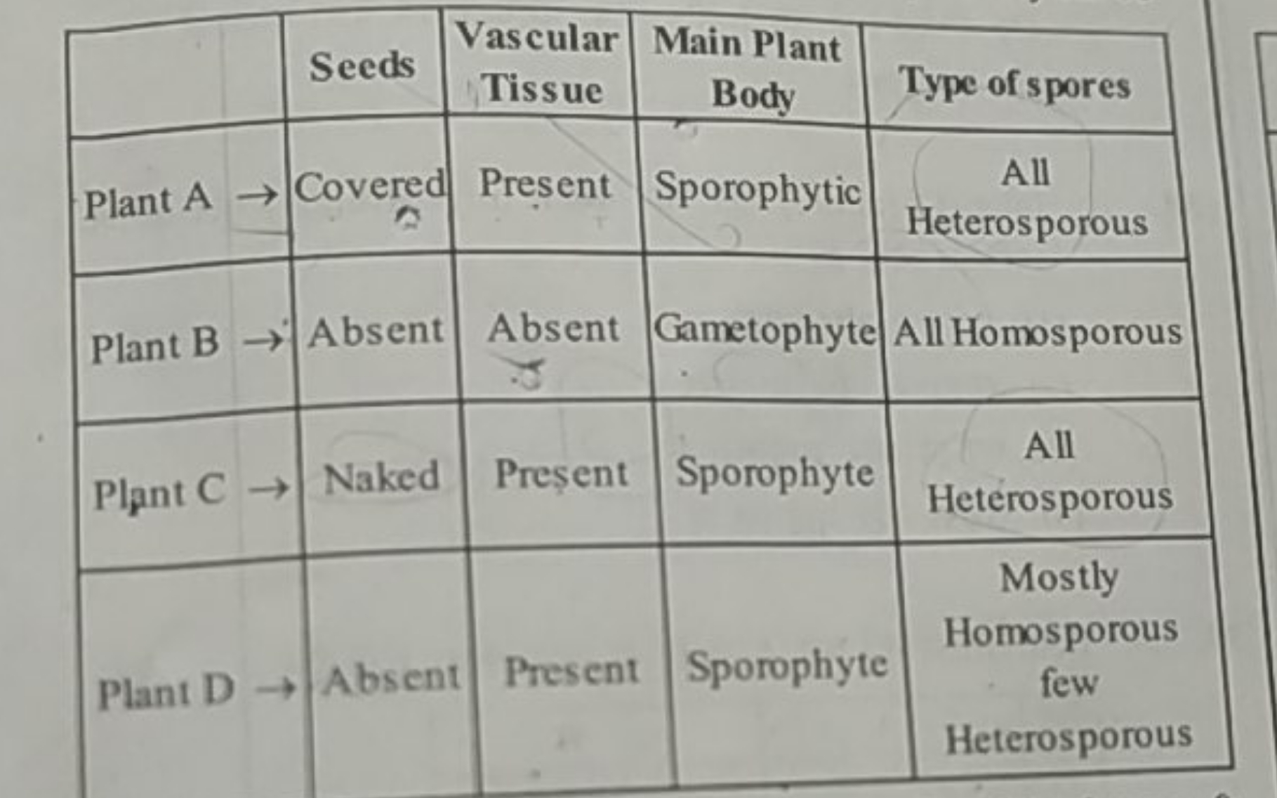 Seeds\begin{tabular}{c} 
VascularTissue & Main PlantBody & Type of spo