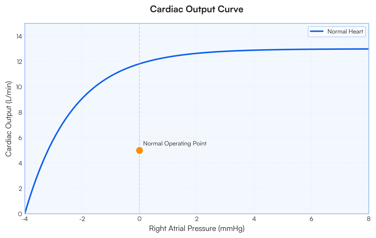 Long Questions (10 Marks) 1) Define Cardiac Output. State the Value of N..