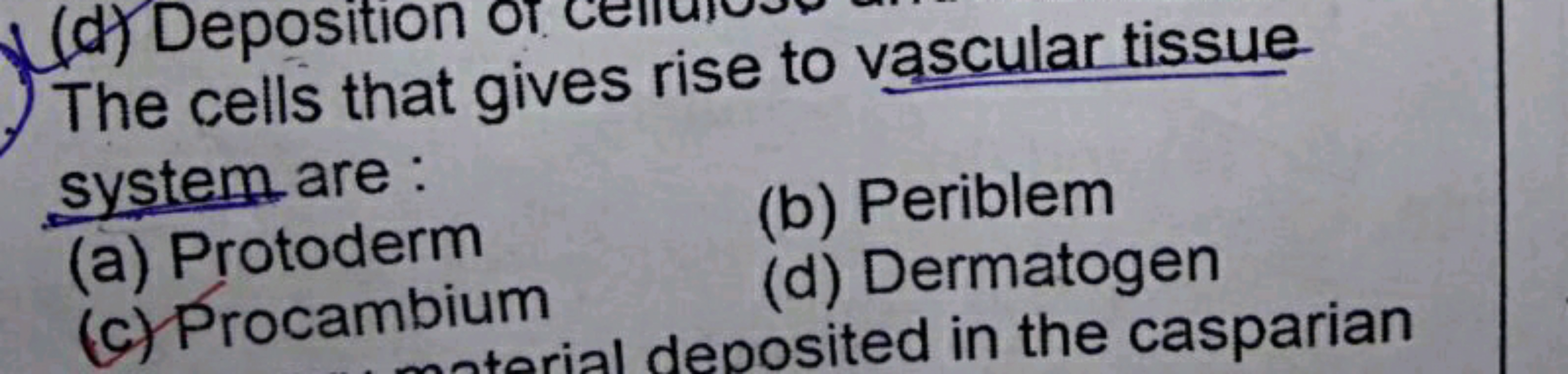 The cells that gives rise to vascular tissue system are :