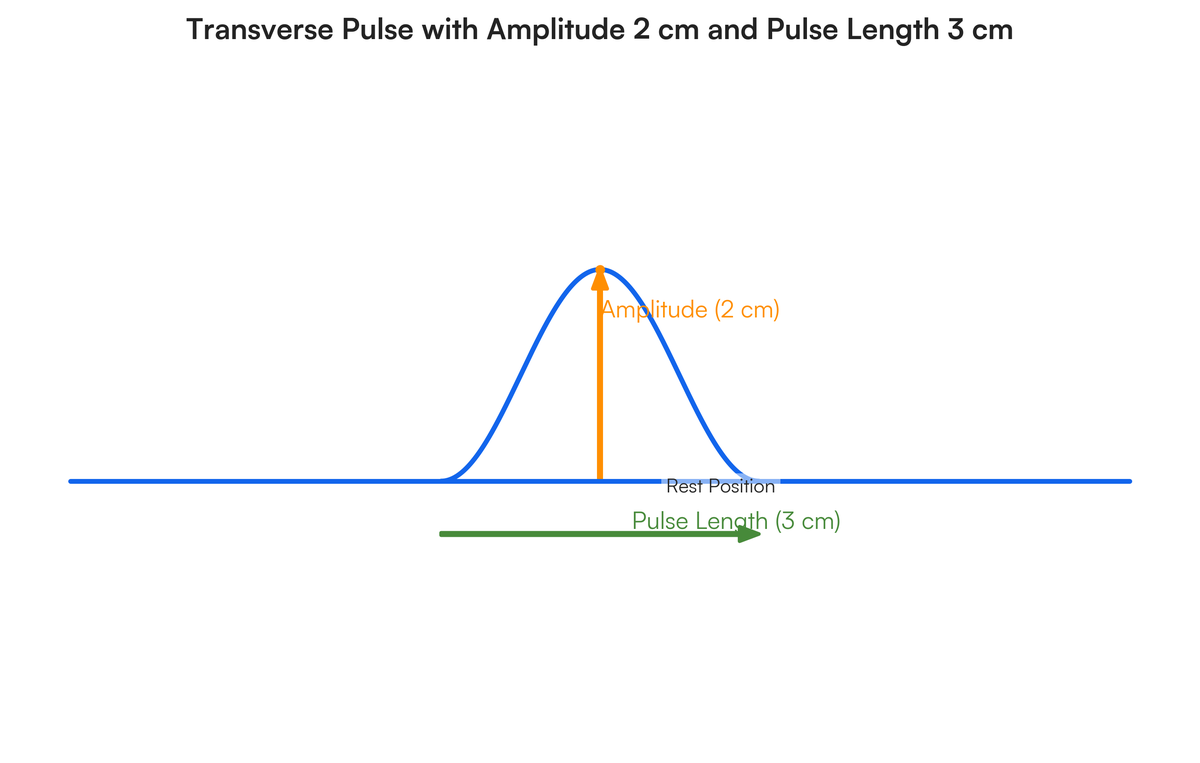 Pulsewith Label Define the following Pulse Amplitude Pulse speed Draw a transver..