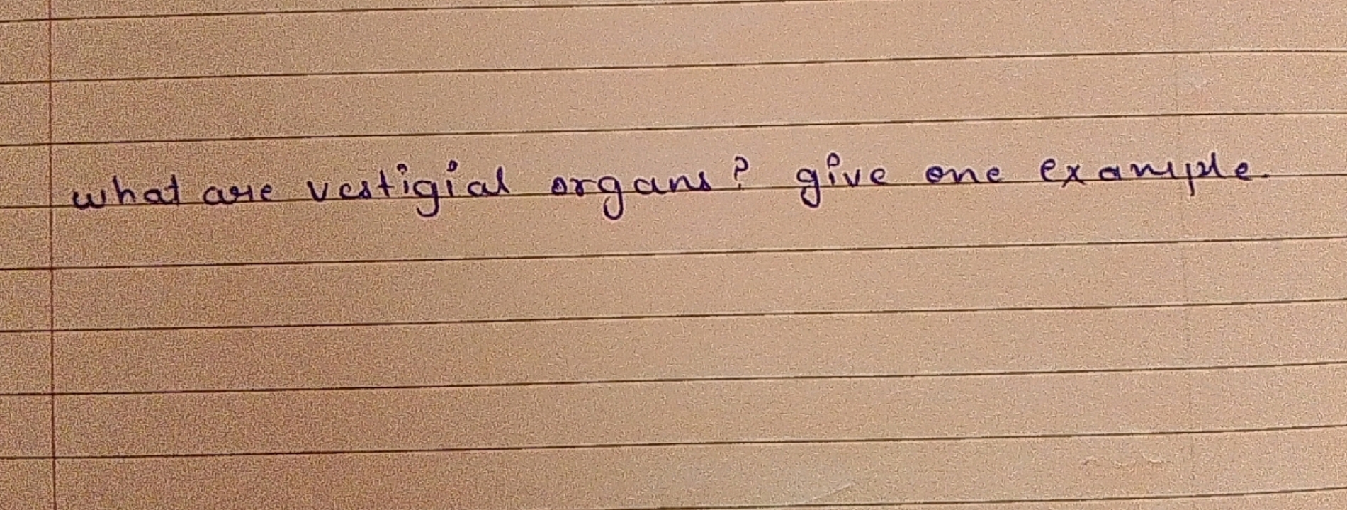 what are vestigial organs? give one example.
