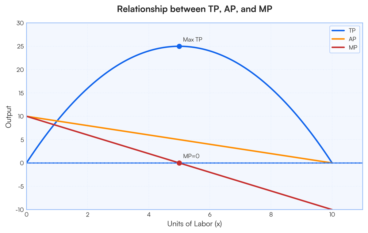 Definations Mptp Ap Tp Ap Mp Differnitate | Filo