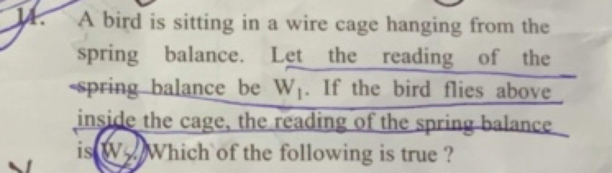 11. A bird is sitting in a wire cage hanging from the spring balance. 